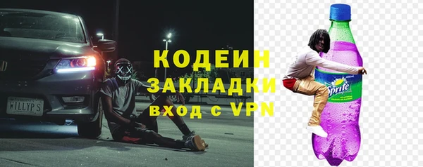 PSILOCYBIN Каменка