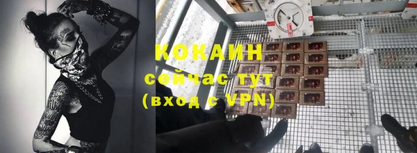 индика Киренск